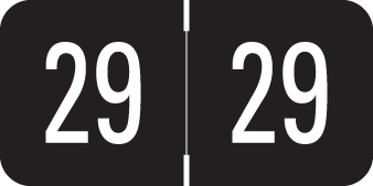 VRE/GBS 2029 BLACK Year Label 3/4"H X 1-1/2"W END TAB 500/RL