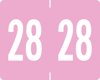 TAB 2028 PINK Year Label 1"H X 1-1/4"W END TAB 500/RL