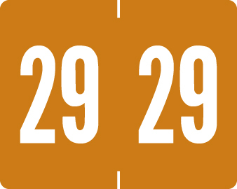 TAB 2029 BROWN Year Label 1"H X 1-1/4"W END TAB 500/RL