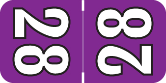 COLWELL 2028 PURPLE Year Label 3/4"H X 1-1/2"W TOP TAB 500/RL