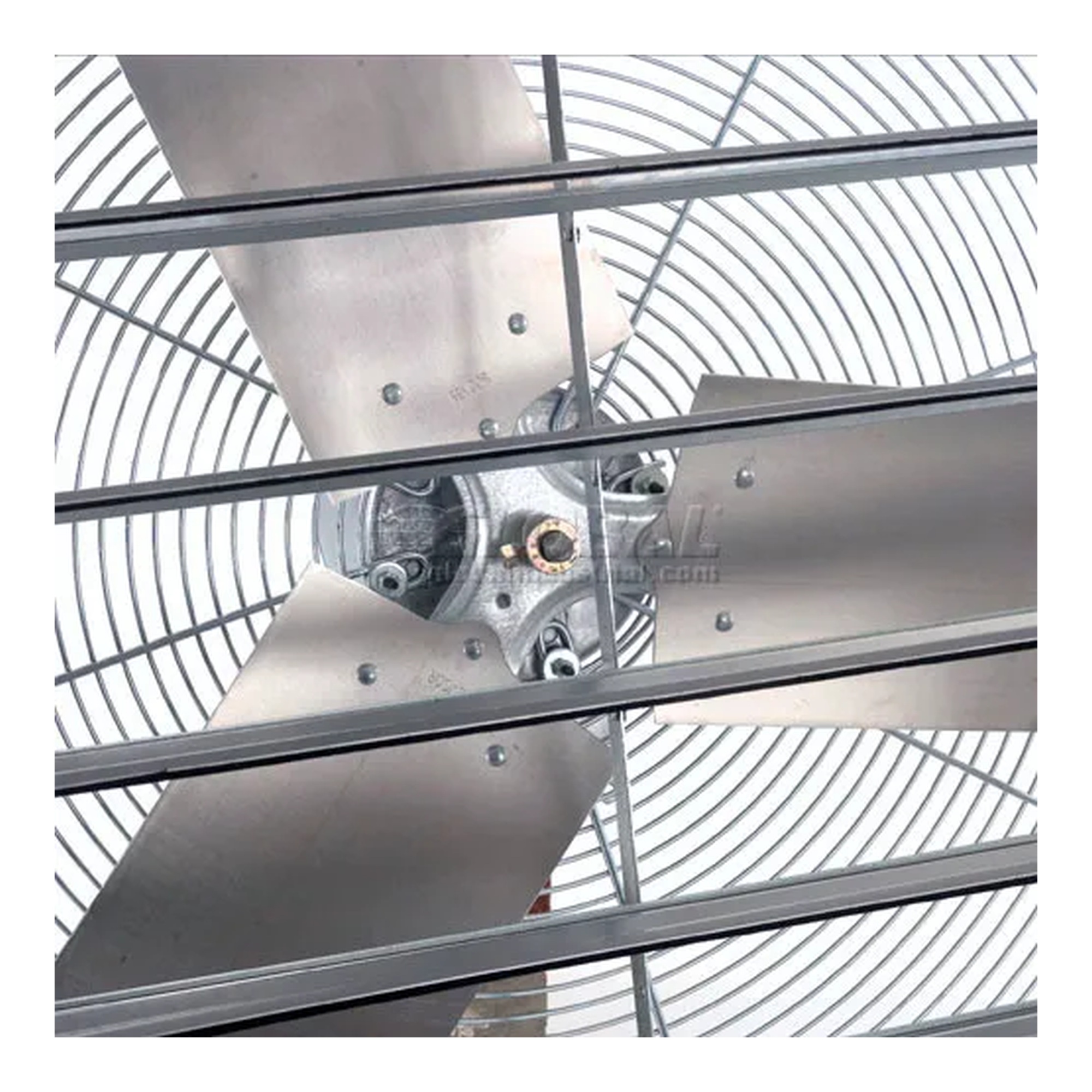 14-inch shutter-mounted exhaust fan with wire guard