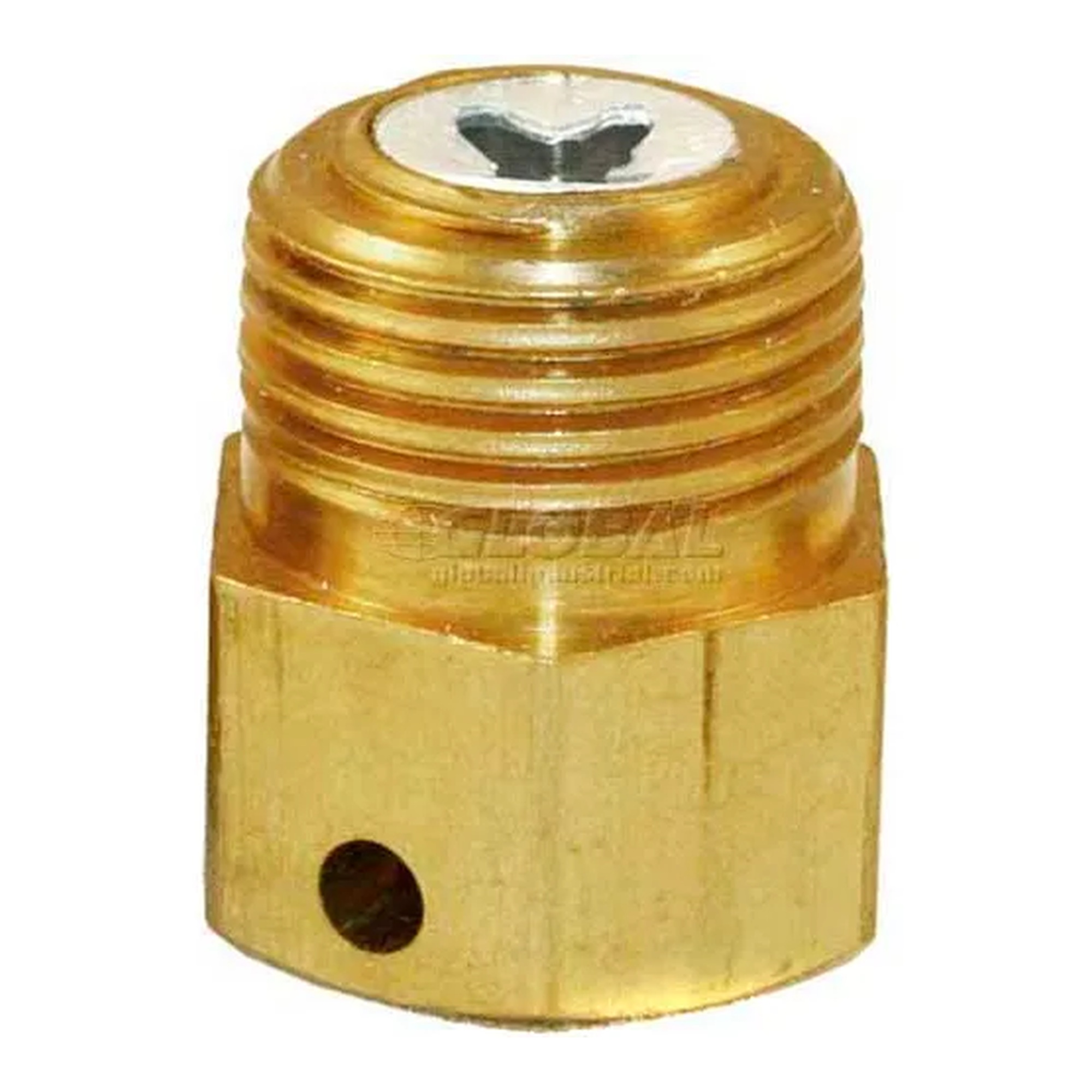 Automatic Vent Limiting Device for RV81 Regulators