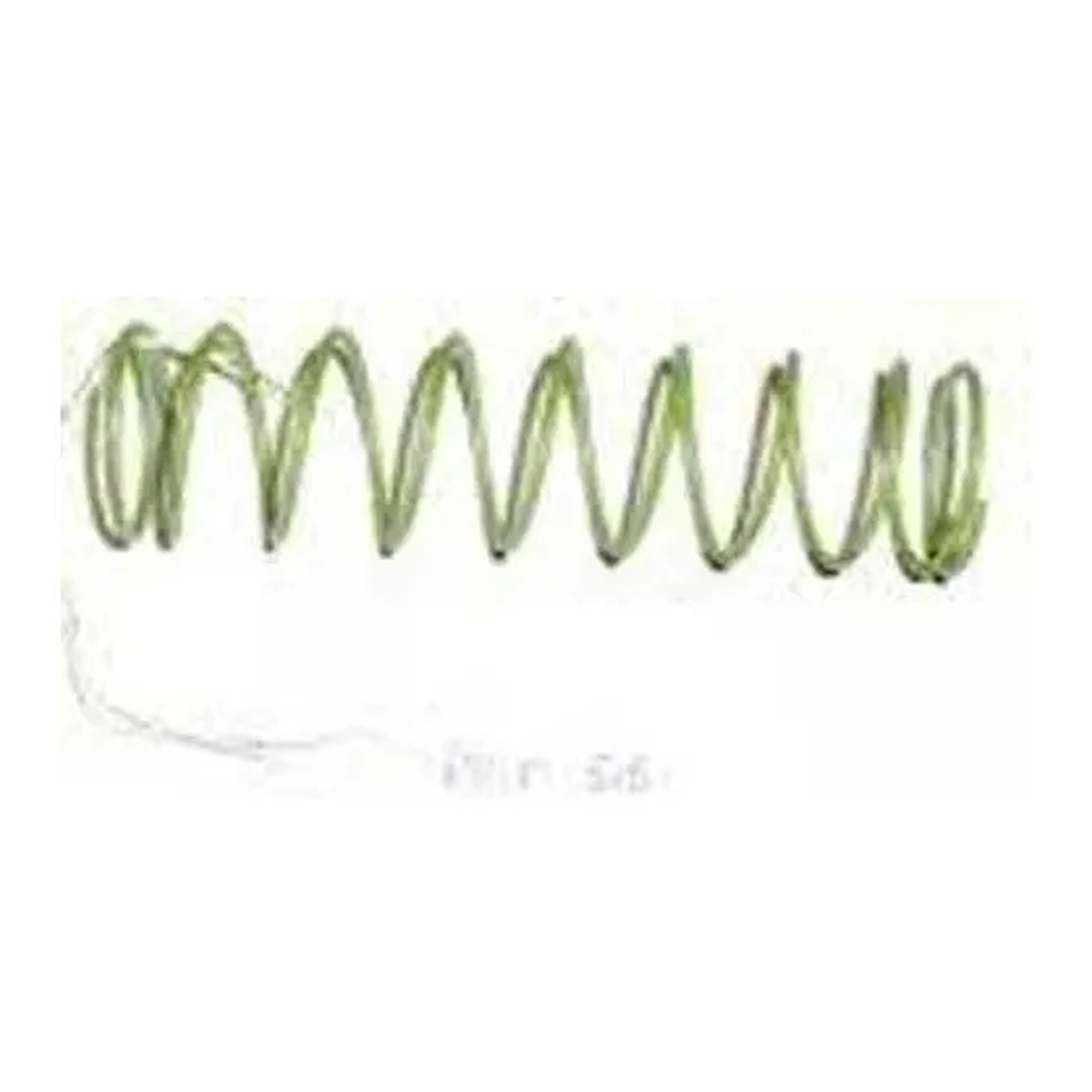 Green Replacement Spring for RV91 and 210E Regulators