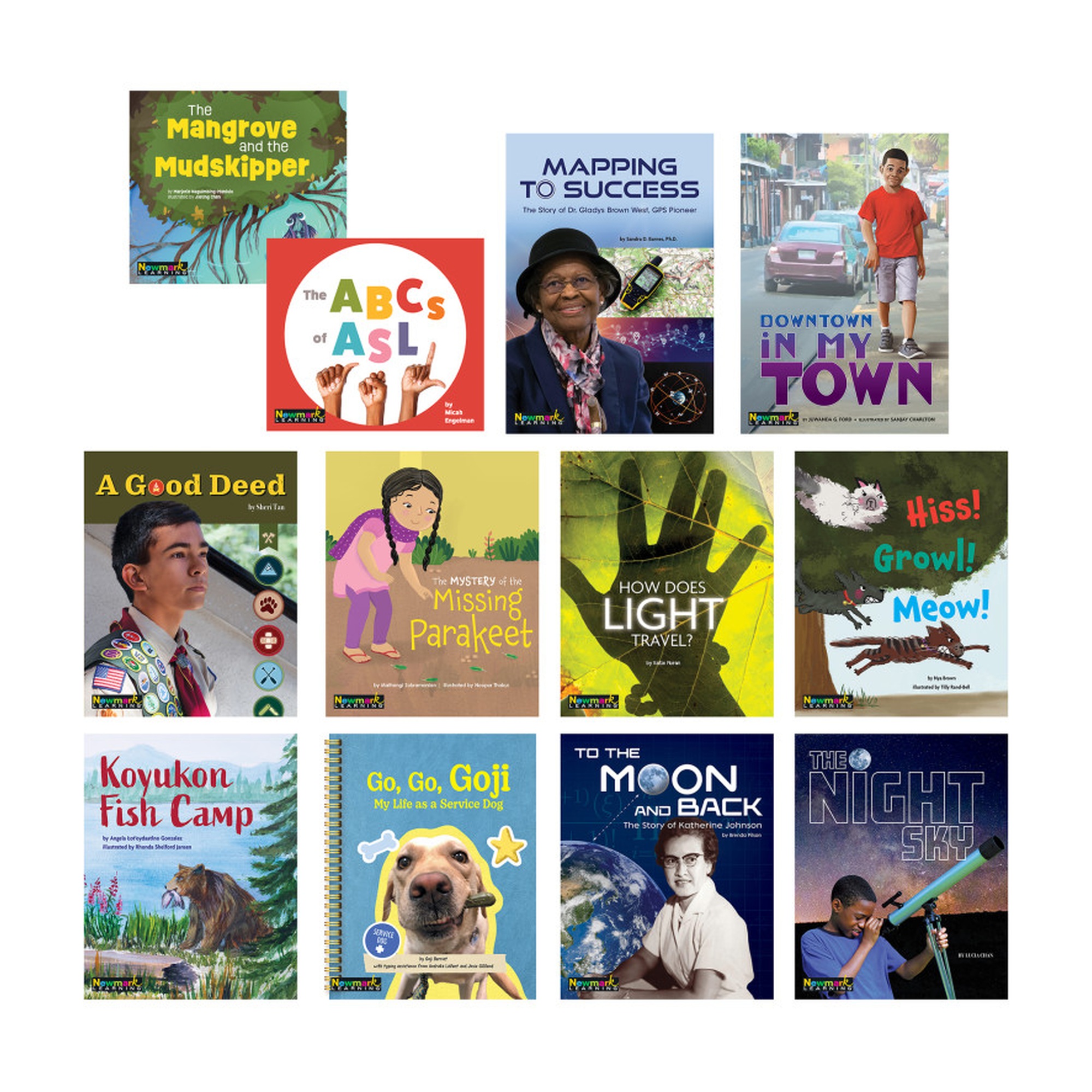 Clear Windows Grade 1 12-Title Reading Set