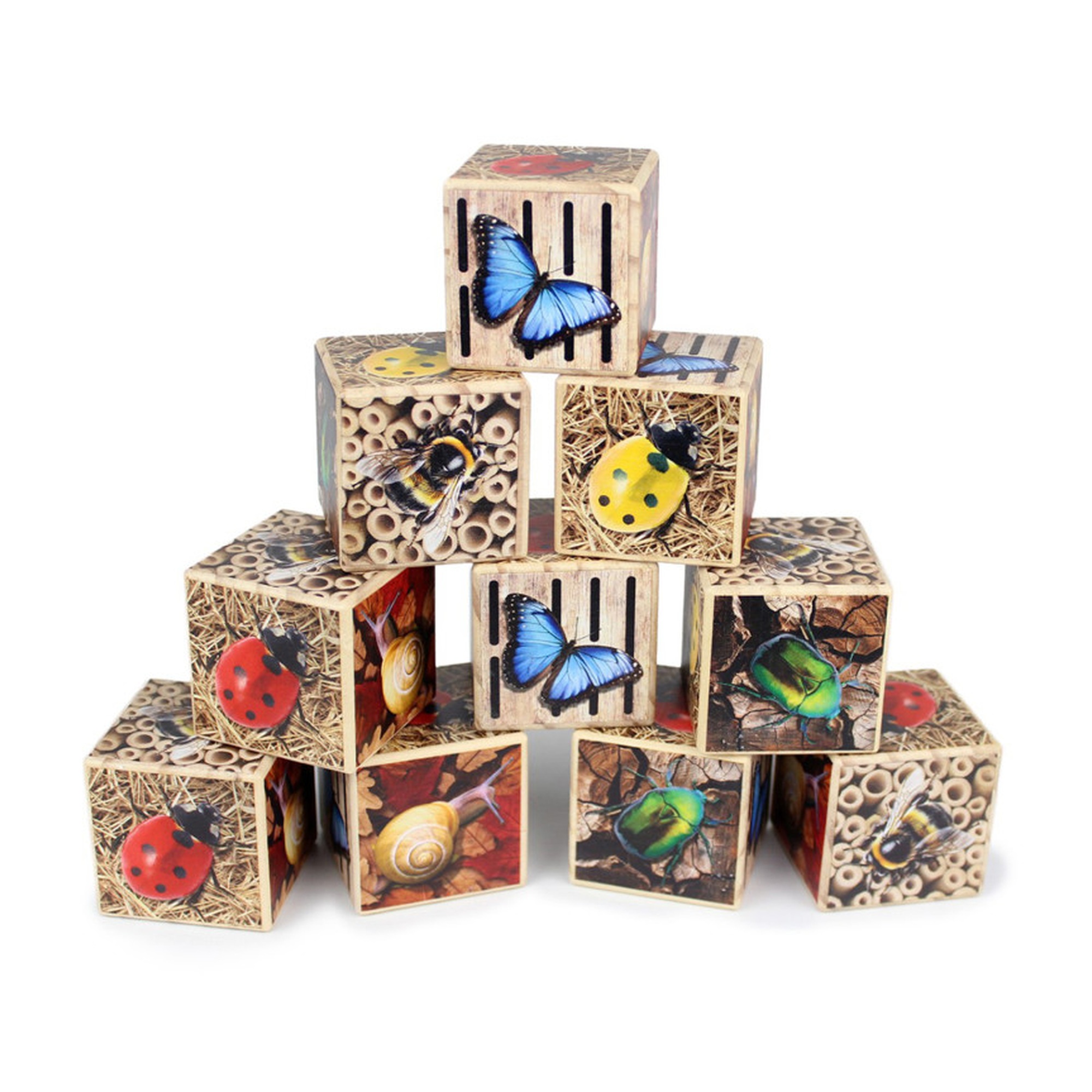 Wooden Bug-Themed Ten-Frame Counting Set