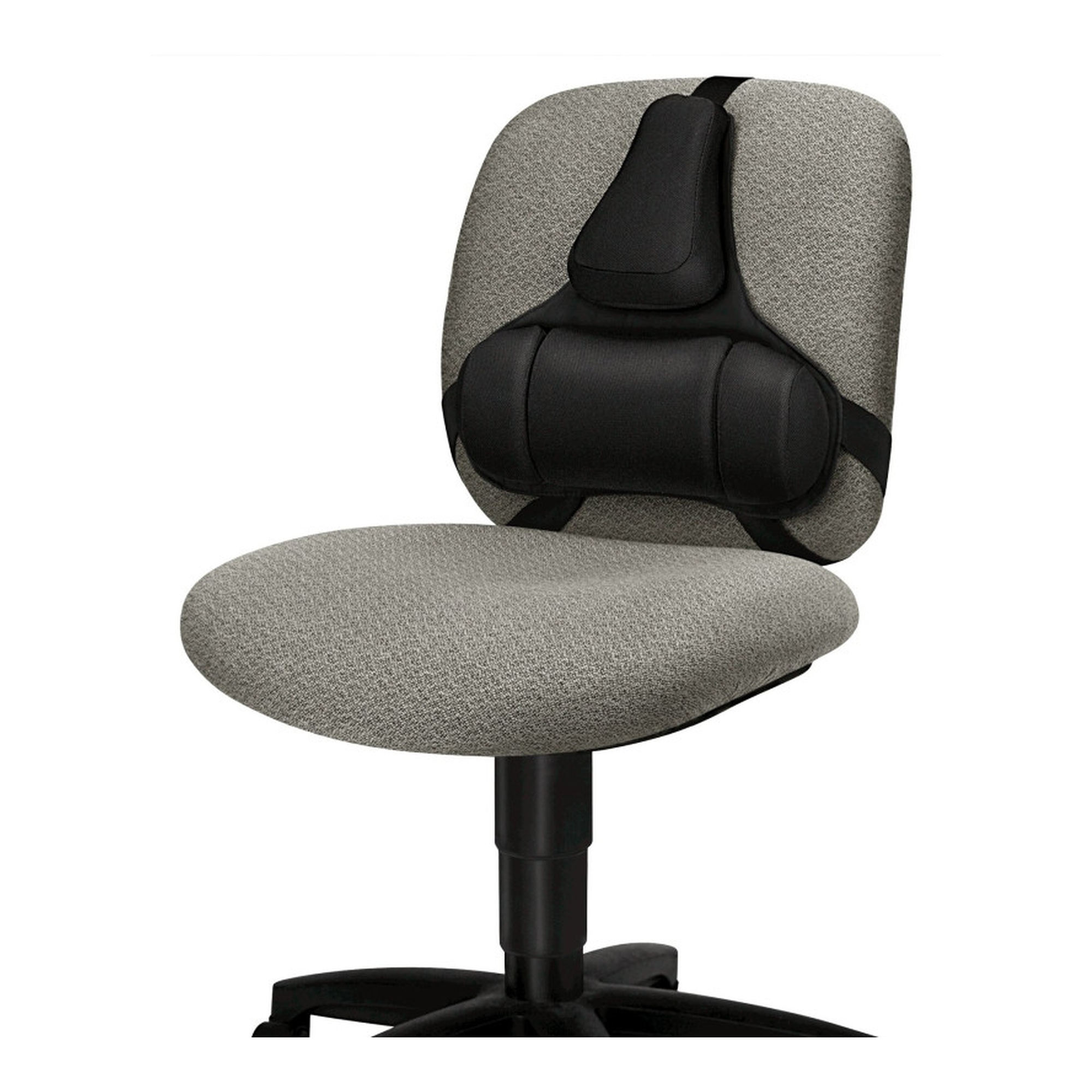 Professional Series Back Support