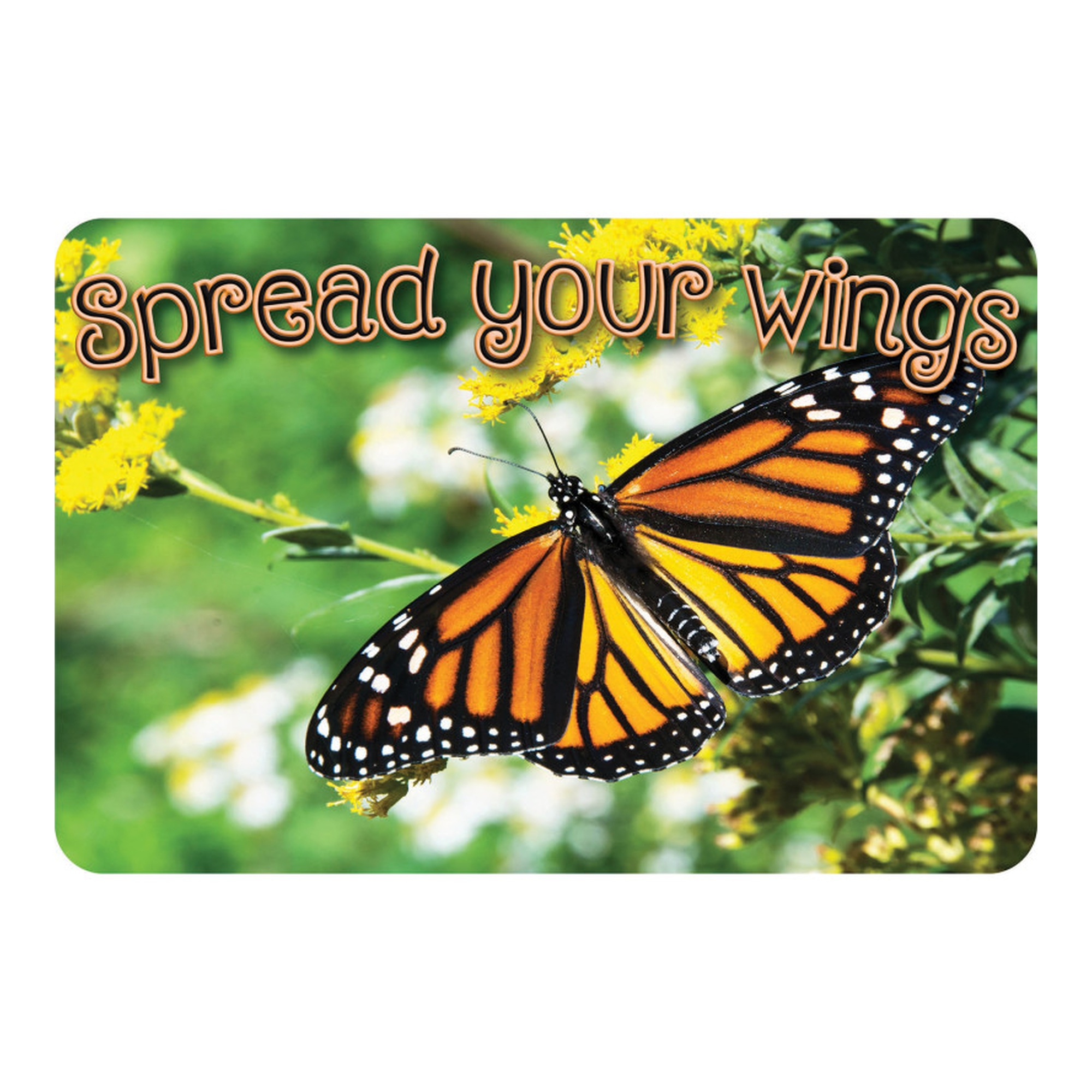 Butterfly Spread Your Wings Computer Mouse Pad, 11.75 x 8 in.