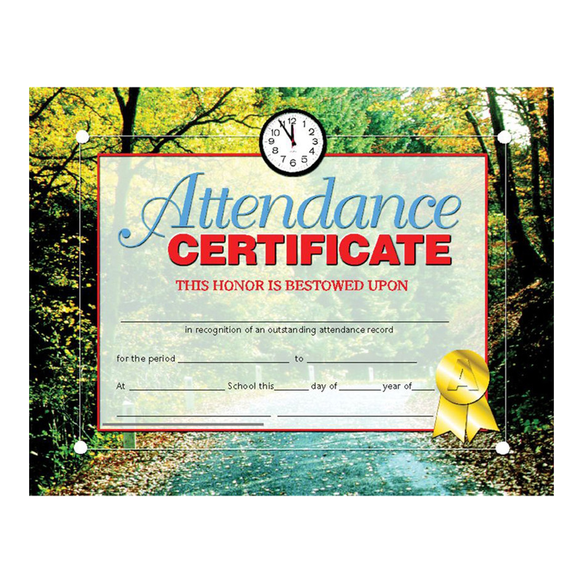 Attendance Certificates, 8.5 x 11 in., Pack of 30