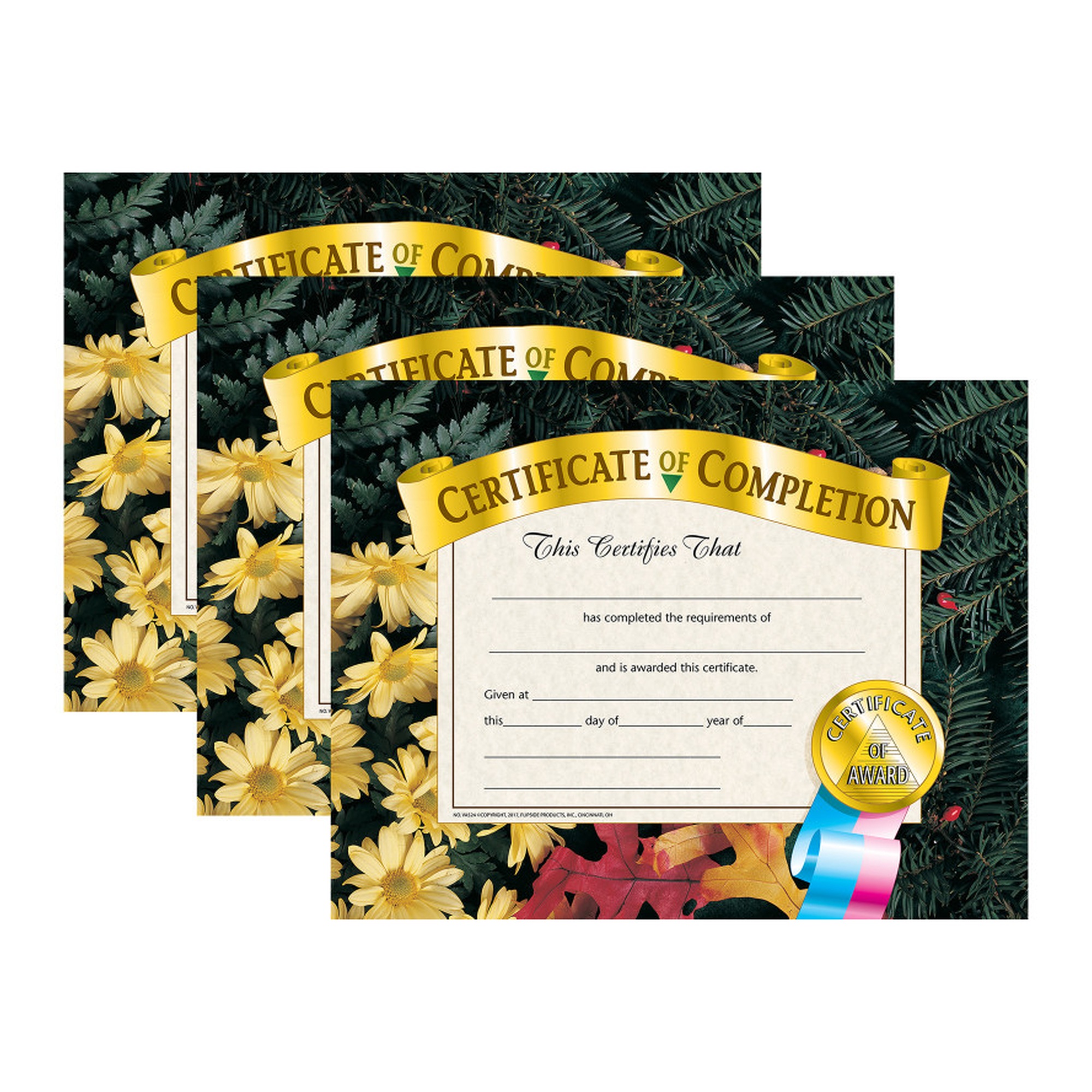 Certificate of Completion, 8-1/2 x 11, Full Color, 90 Certificates