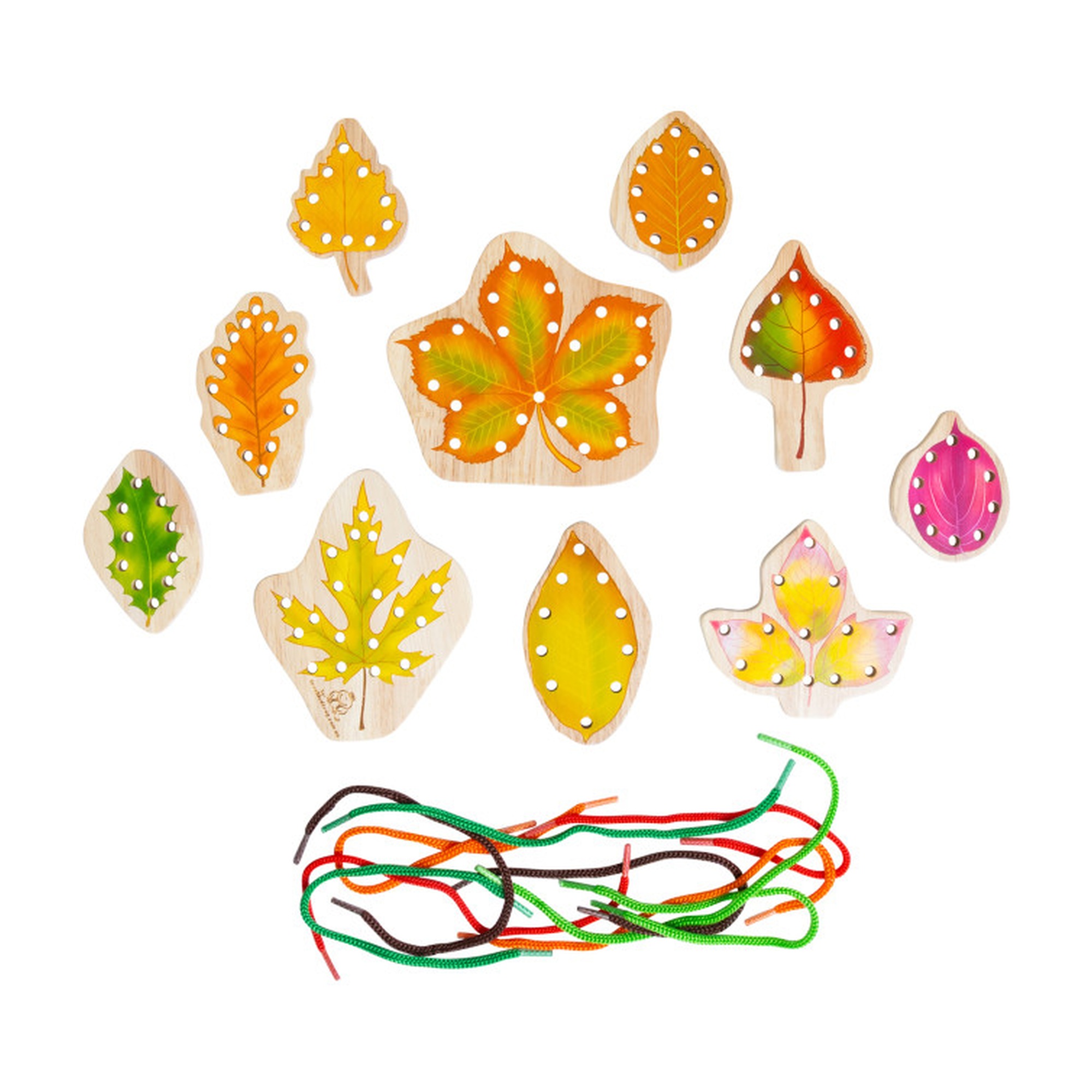 Threading Leaves Lacing Set, 20 Pieces