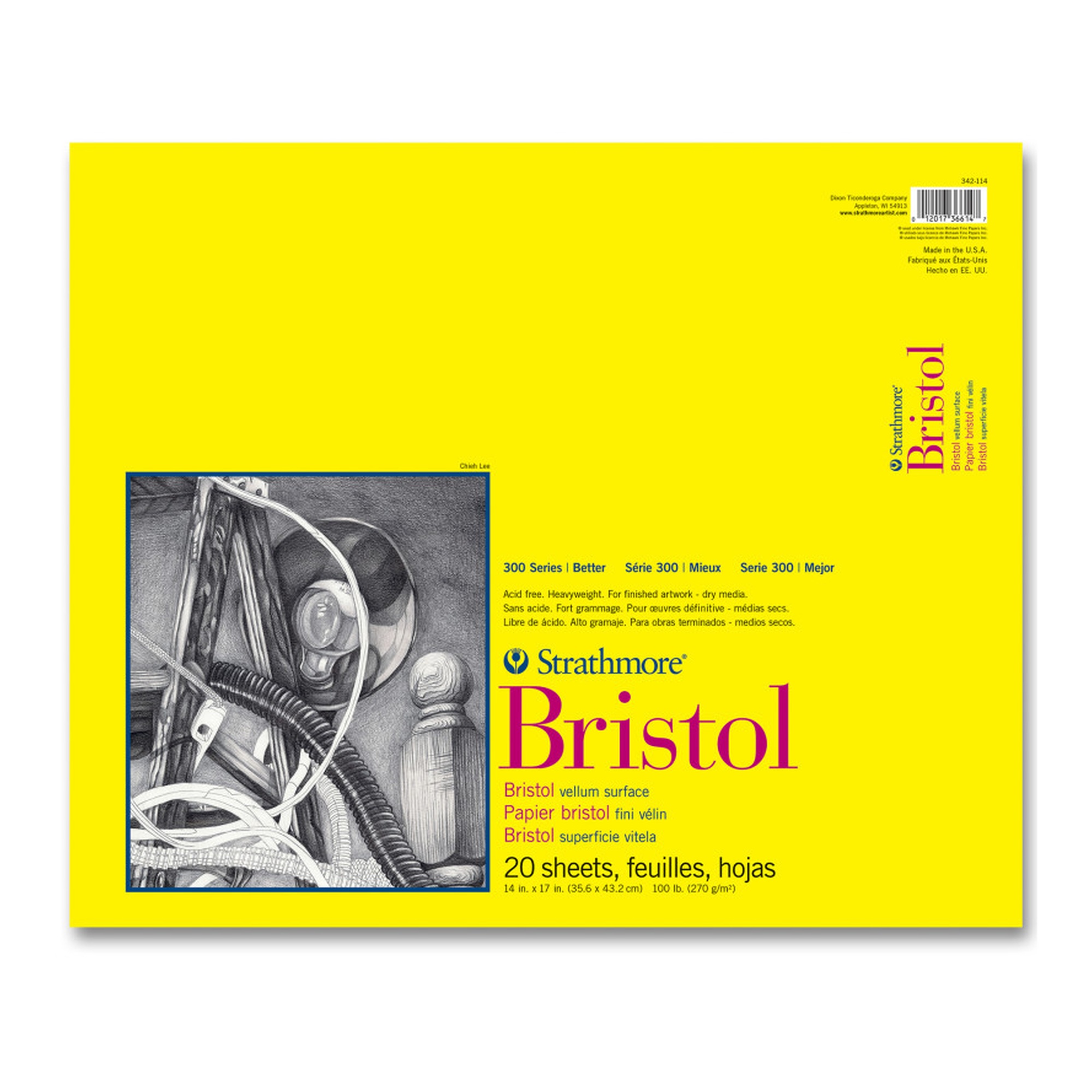 300 Series Vellum Bristol Paper Pad, 14 x 17 in., 20 Sheets