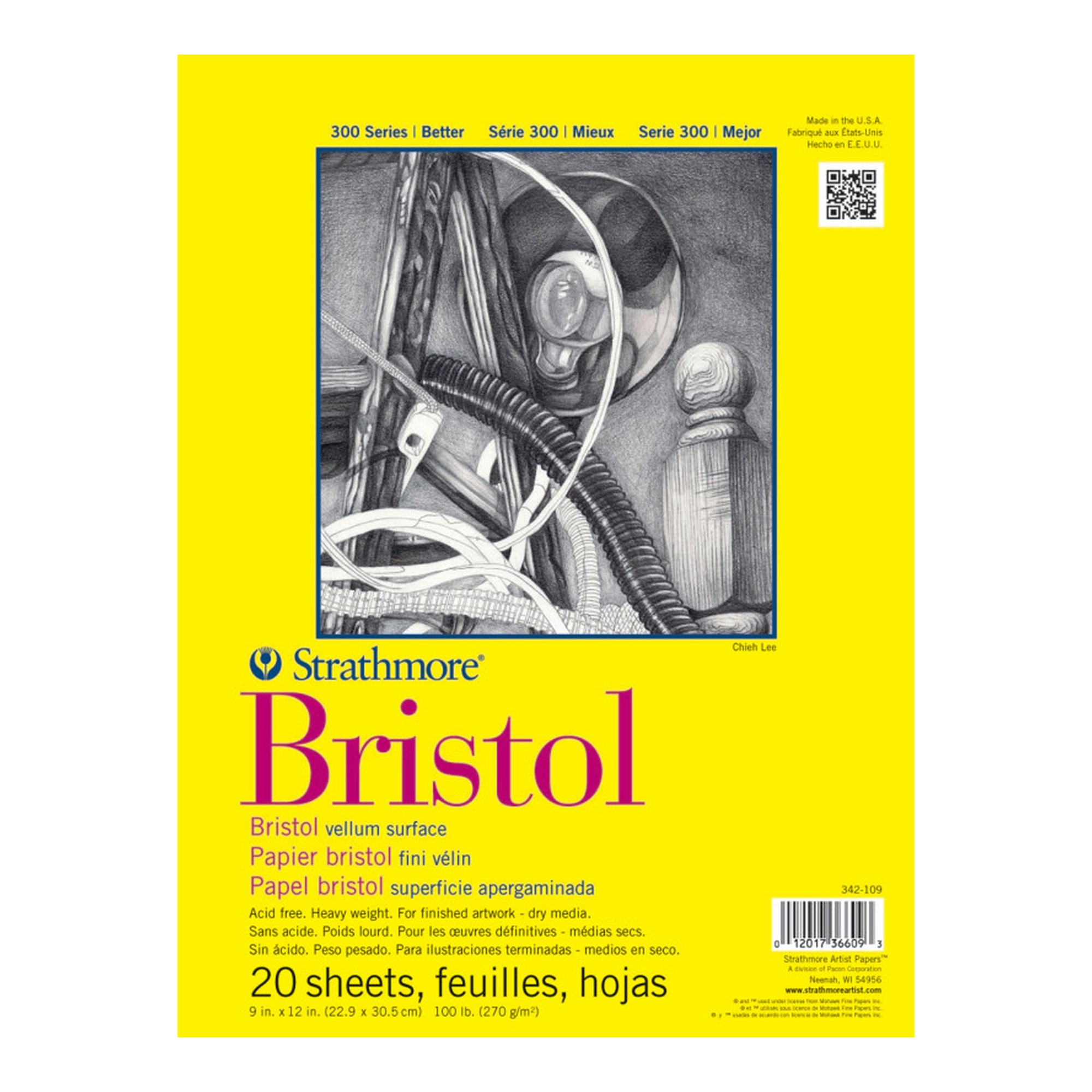 300 Series Vellum Bristol Paper Pad, 9 x 12 in., 20 Sheets
