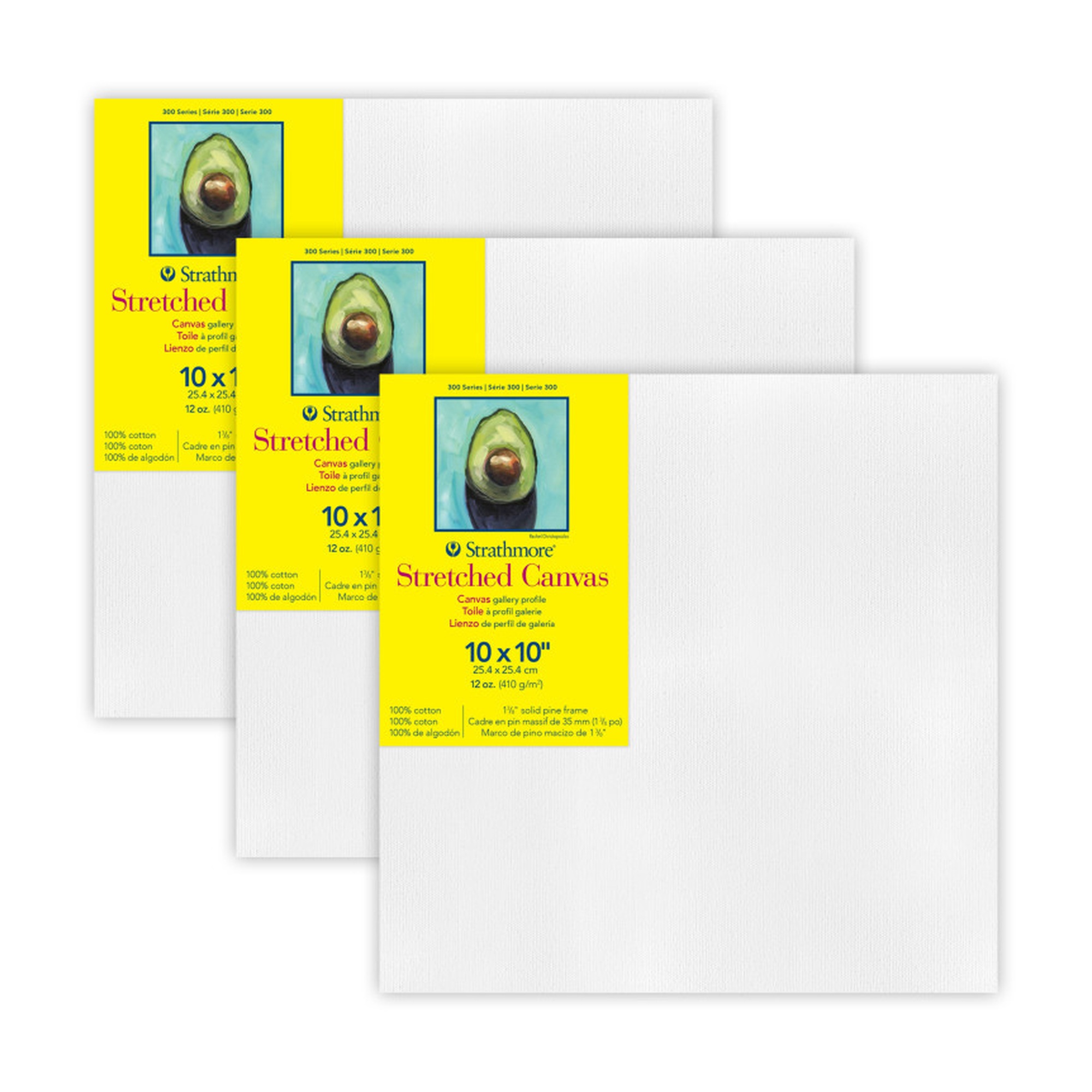 300 Series Gallery Stretched Canvas, 10 x 10 in., Pack of 3