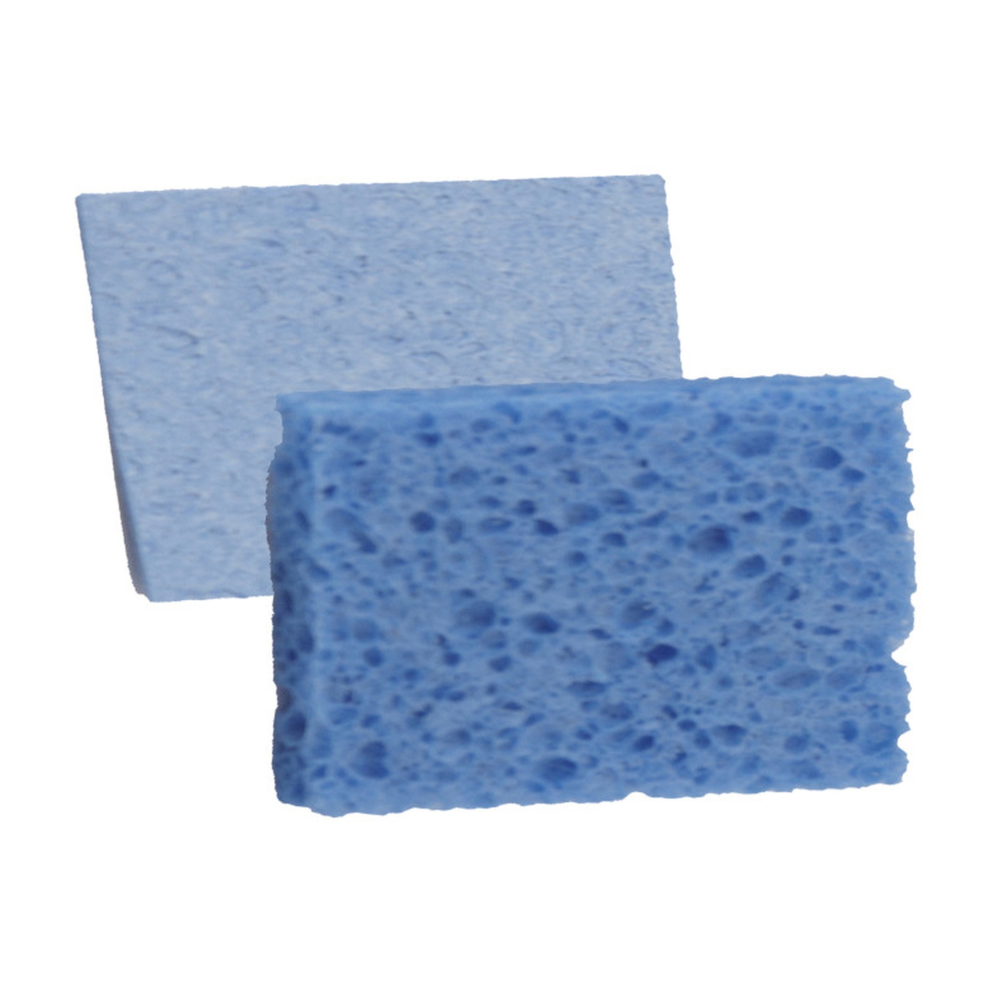 Compressed Sponge Sheets, 4 x 6 in., 5-Pack