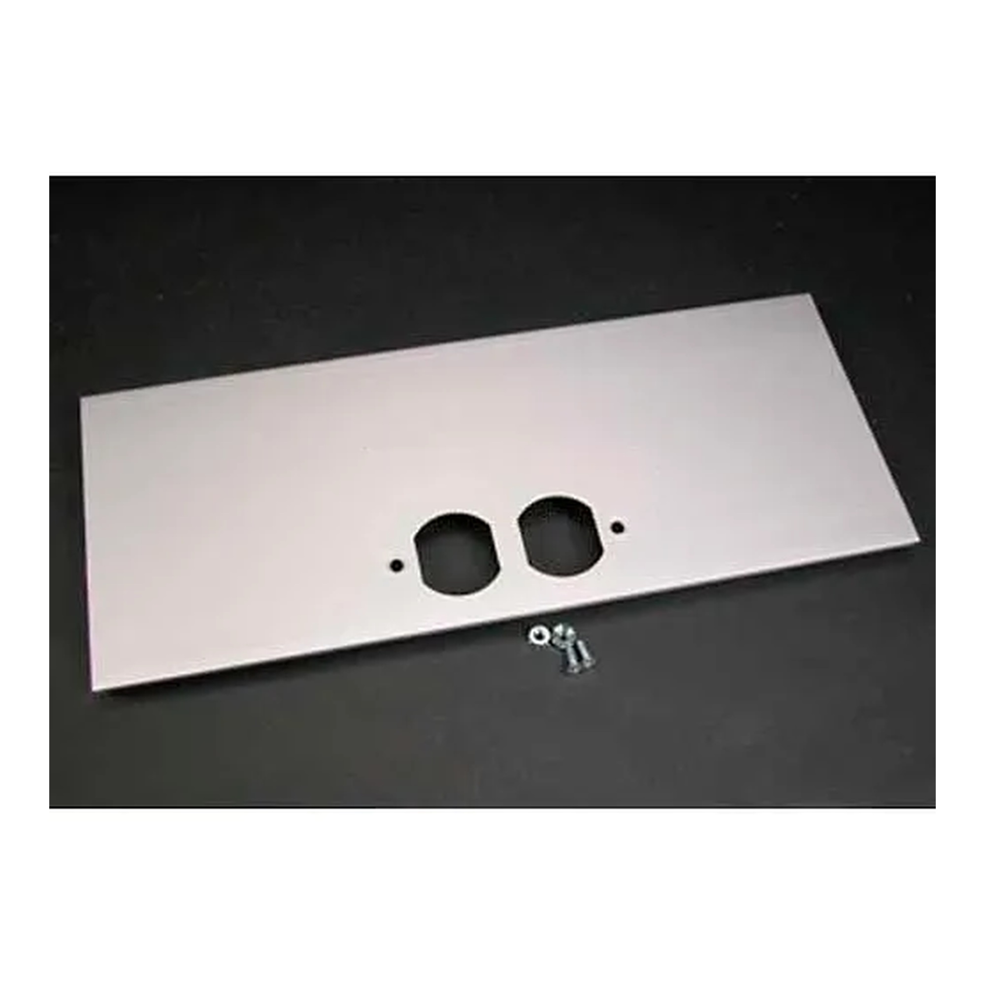 12-Inch Duplex Cover Plate for Raceway Devices