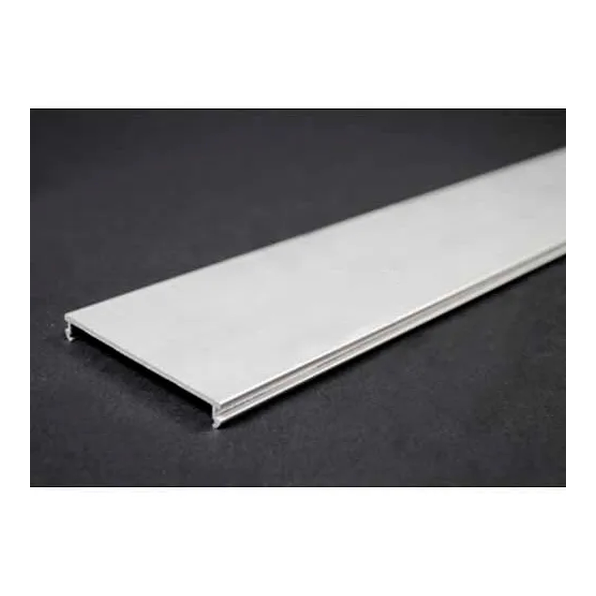 Silver Raceways Cover, 5-Foot Length