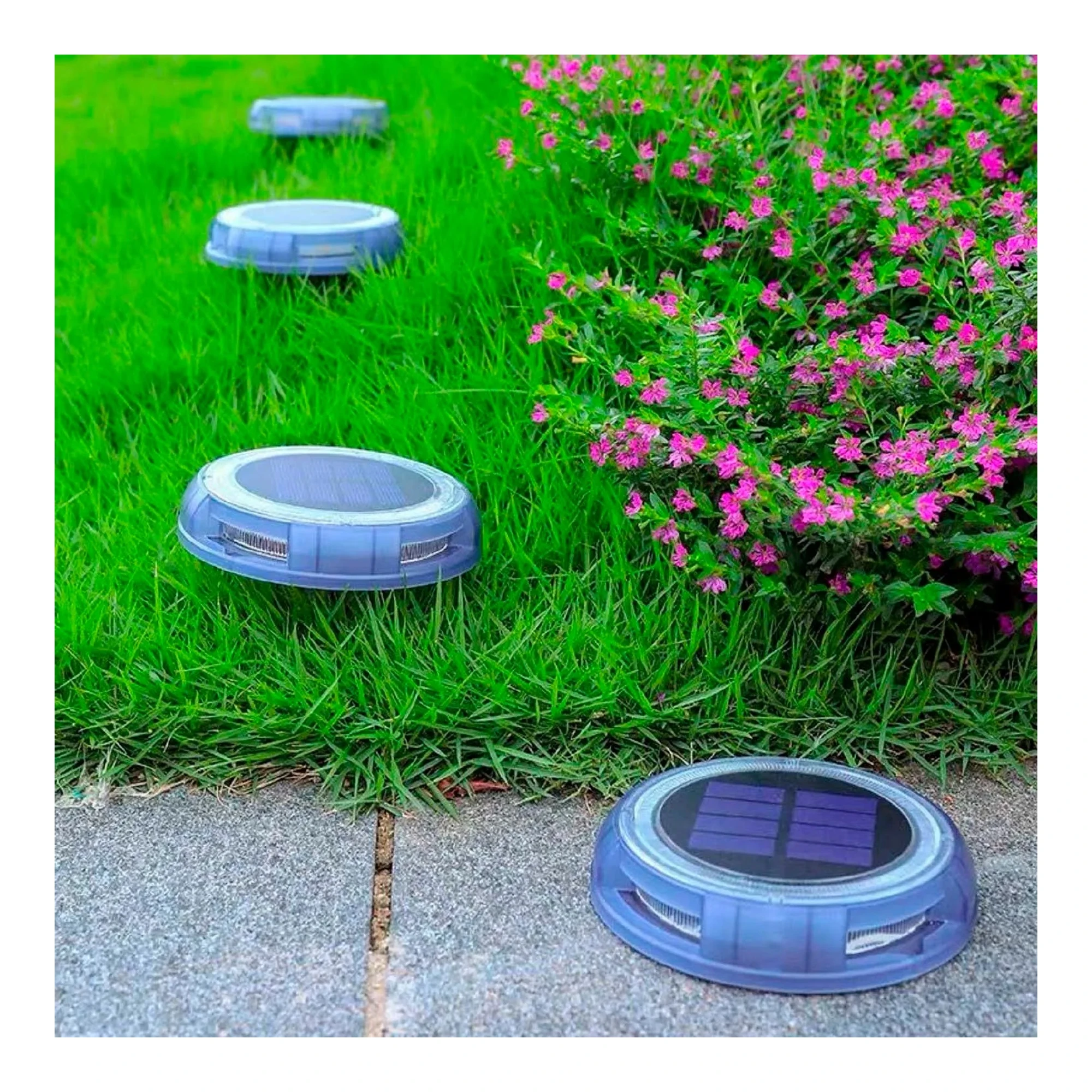 Four solar dusk-to-dawn LED garden lights with white, purple, blue, and green illumination