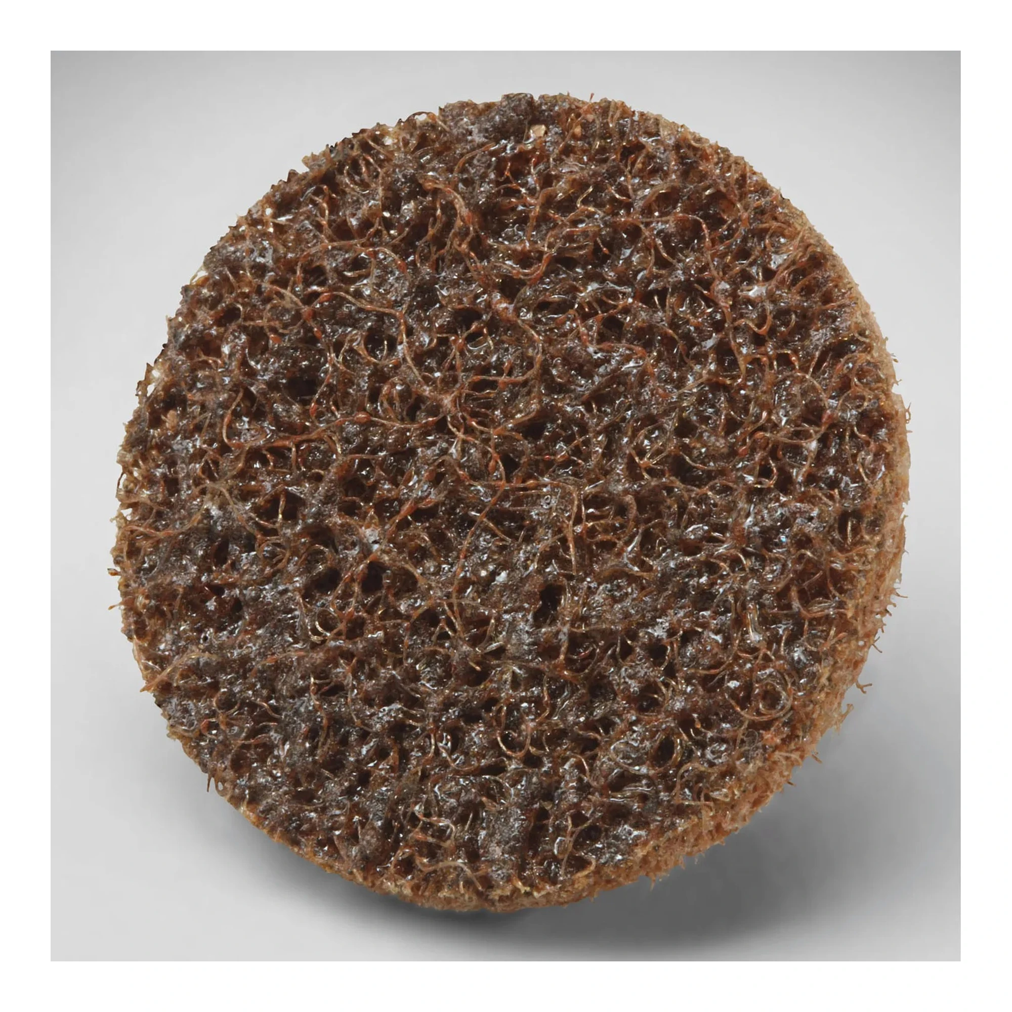 1-Inch Coarse-Grit Surface Conditioning Quick-Change Disc