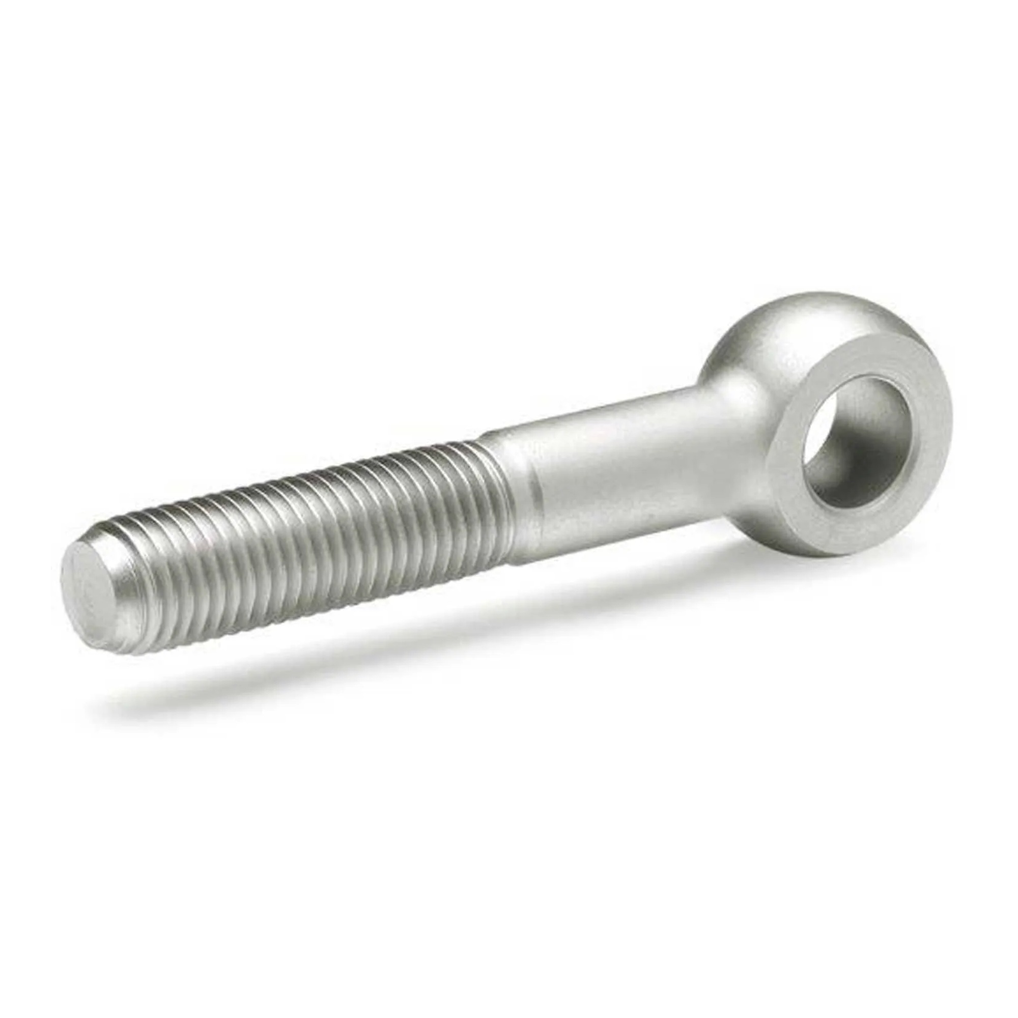 DIN 444 Stainless Steel Swing Bolt, M10, 2 in. Length