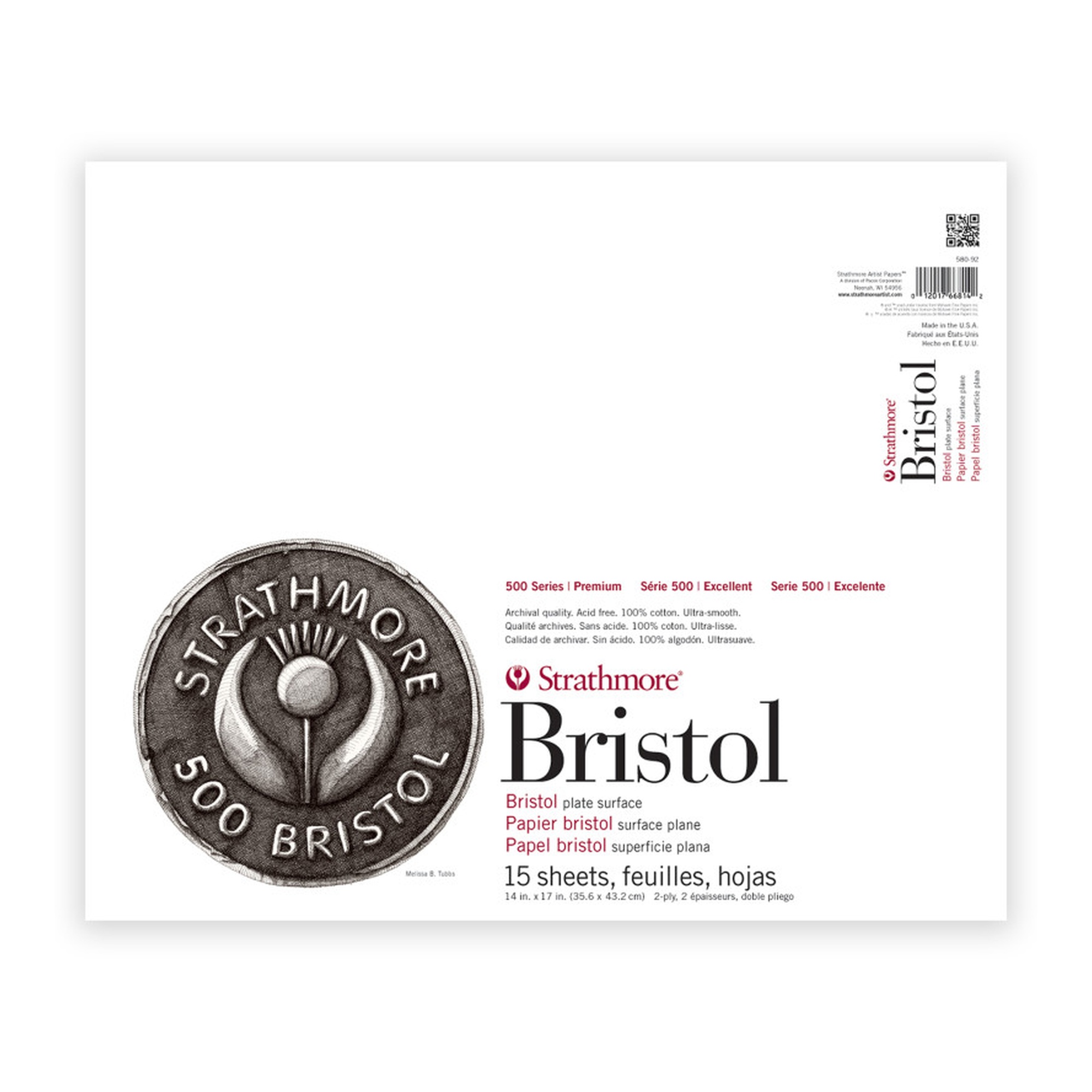 500 Series 2-Ply Plate Finish Bristol Paper Pad, 14 x 17 in., 15 Sheets