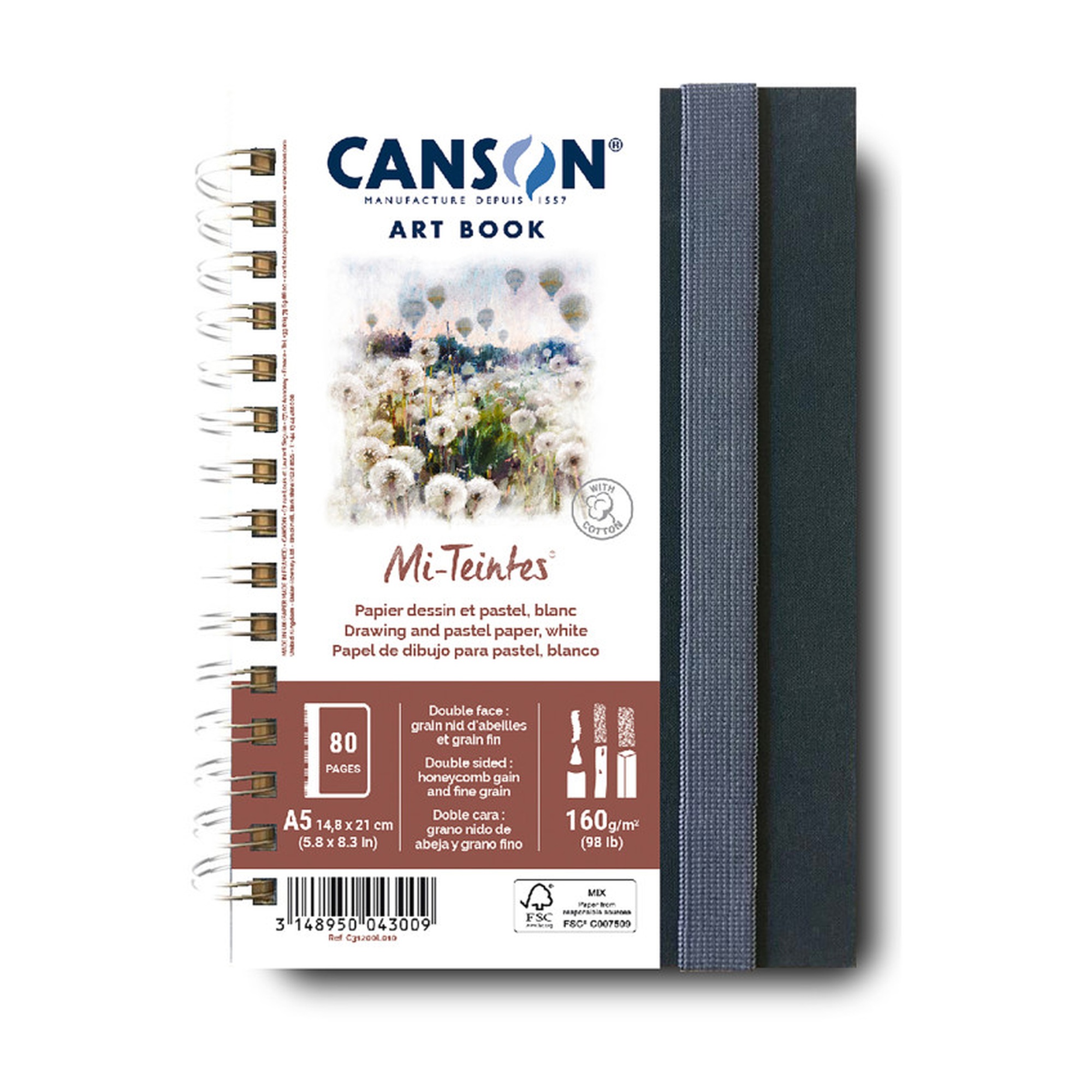 Artist Series Mi-Teintes Pastel & Drawing Art Book