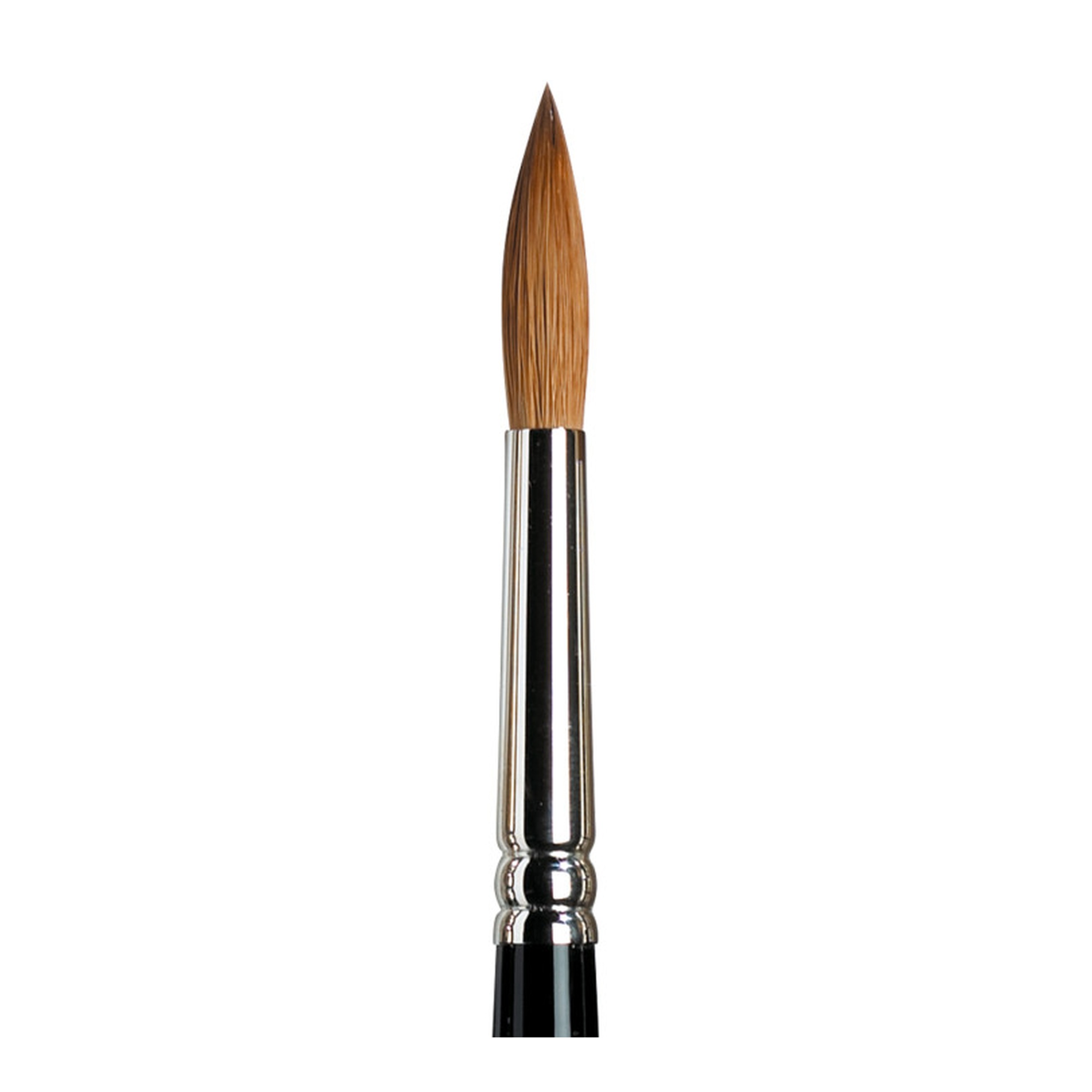 Round Watercolor Brush, Size 8