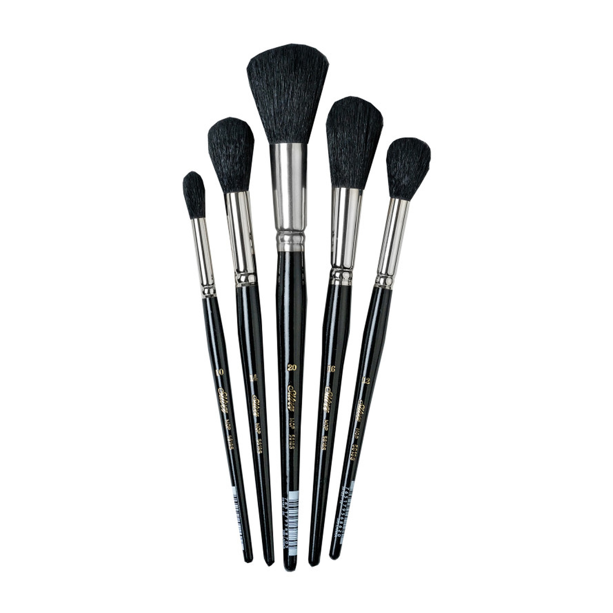 Black Round Mop Brush Set, 5 Brushes