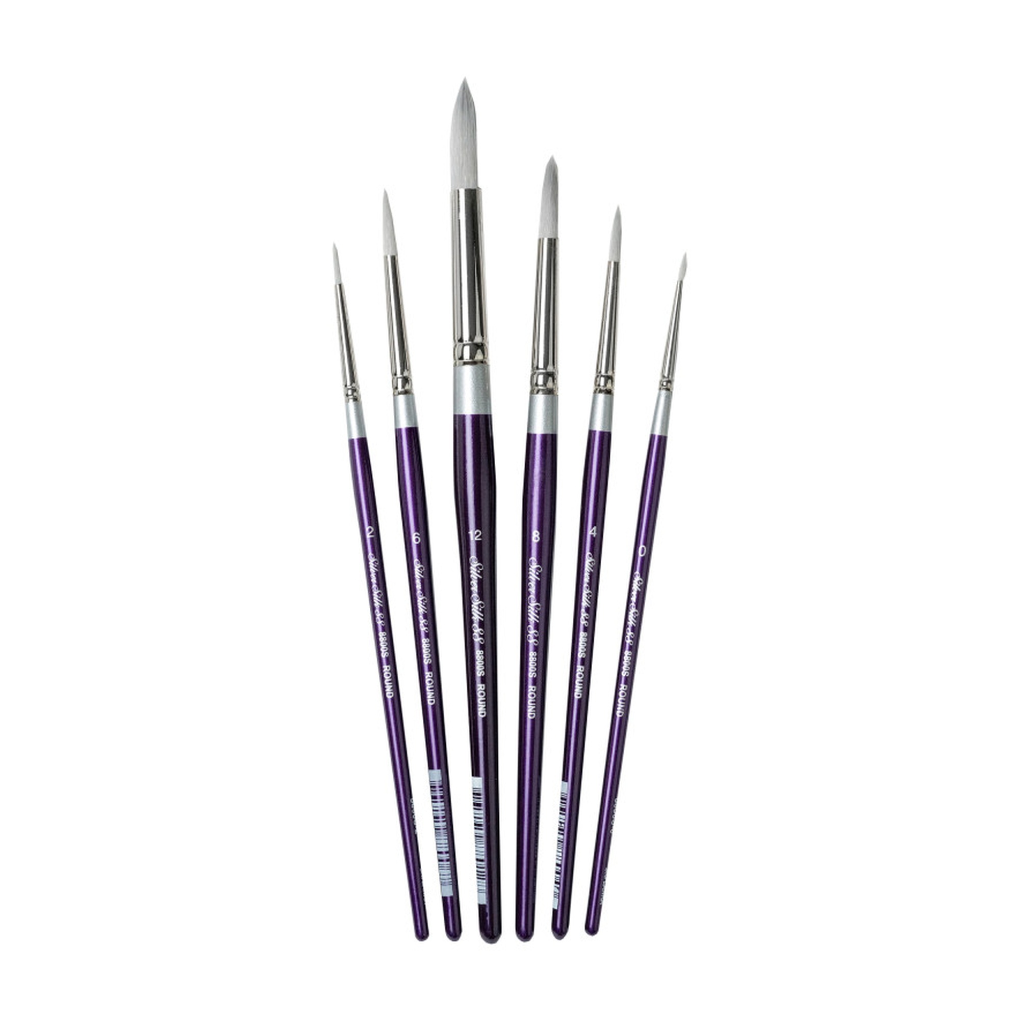 Silver Silk Round Brush Set, 6 Pieces