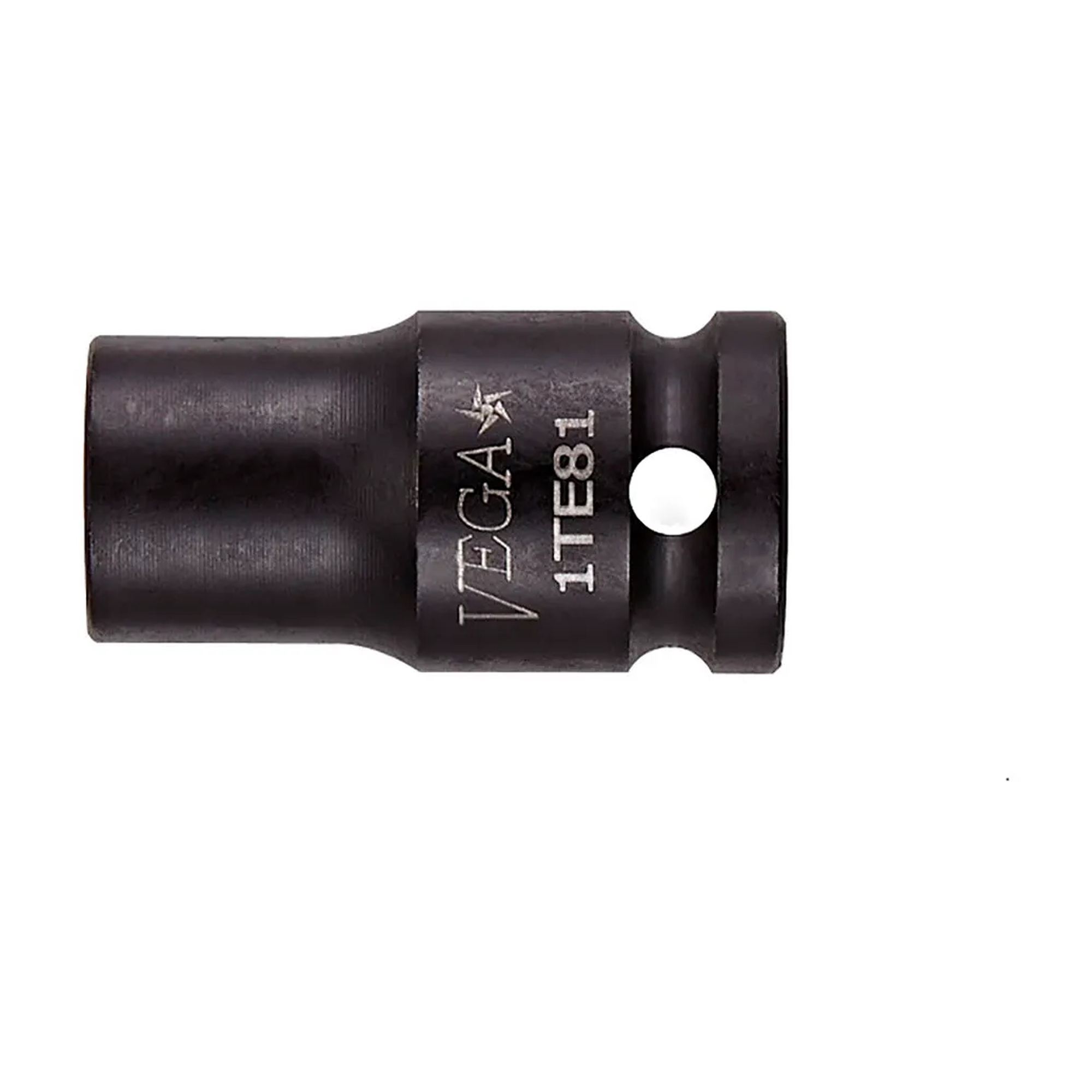 1/4-Inch Square Drive TORX E10 Standard-Length Impact Socket