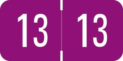 VRE / GBS Yearband Label (Rolls) 500 - 2013 - Purple - Laminated