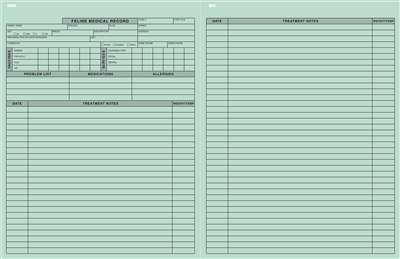 Tabbies V-CF101 - Feline Medical Records Form - Green - 8-1/2"x 11" - 250/Pack
