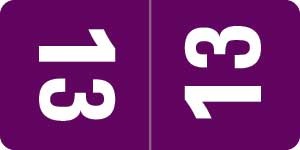 Smead Yearband Label (Rolls) 500 - 2013 - Purple/Top Tab - Laminated