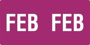 Smead Month Labels - ETS Series (Sheet) - February/Purple- 250/Pack
