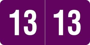 Smead Yearband Label (Rolls) 500 - 2013 - Purple - Laminated 1