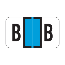 SafeGuard Alphabetic Labels - 511 Series (Sheets for binder) Letter "B"- Lt. Blue - 240 Labels per Pack