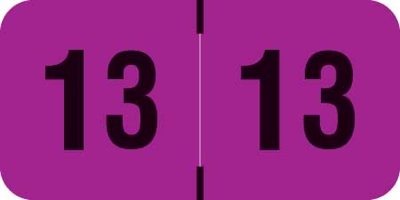 Smead Compatible Yearband Label - ETYJ Series (Rolls) - 2013; 3/4" H x 1-1/2" W