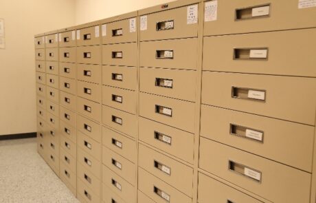 Media Storage Cabinets