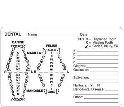 Veterinary Labels