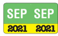 Month/Year Labels 2021 - September - 225 Labels Per Pack - 1-1/2" W x 1" H