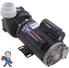 Complete Pump, Aqua-Flo, XP2, 3.0HP, 230v, 48 frame,2", 1 or 2 Speed