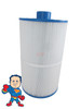 Cartridge 75sqft 13" x 8" with 2 1/16" Top hole and 2" Male Slip Bottom Coleman Spa