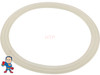 Flat Gasket for Waterway Storm 5" Jet Body