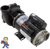 Pump, Waterway Executive, 4.5hp, 230v, 2-spd, 48fr, 2" x 2", OEM