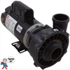 Pump, Waterway Executive, 1.5hp, 115v, 2-spd, 48fr, 2" x 2"