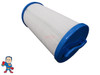 Filter, Cartridge, 30 sqft, 1-1/2" Fem SAE, 4-15/16" Wide , 9-1/4" Tall, Fits Some Four Winds Tubs Shorter Version