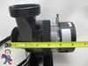 Pump, Circulation, Laing, E-14, 230v, 1-1/2"mbt, 4ft Cord