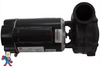Complete Pump, 37334, Aqua-Flo, Vendor Code 4081 or 03338, 1.0HP, 115v, 10.5/3.2A, 48 frame, 2"x 2", 1 or 2 Speed