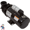 Pump, Sta-Rite, Dura-Jet, DJ, 1.0hp, 115v, 2-spd, 48fr, 2"Side Discharge