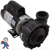 Complete Pump, 1431701-01, Aqua-Flo, Vendor Code 4081, 1.5HP, 115v, 10.5A, 48 frame, 2"x 2", 1 or 2 Speed