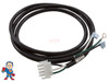 Male, Amp, Pump or Blower Cable, (1) Speed, 14 Gage, 3Wire,  60",  Black, White, Green